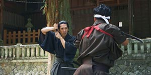 Iai Lesson
