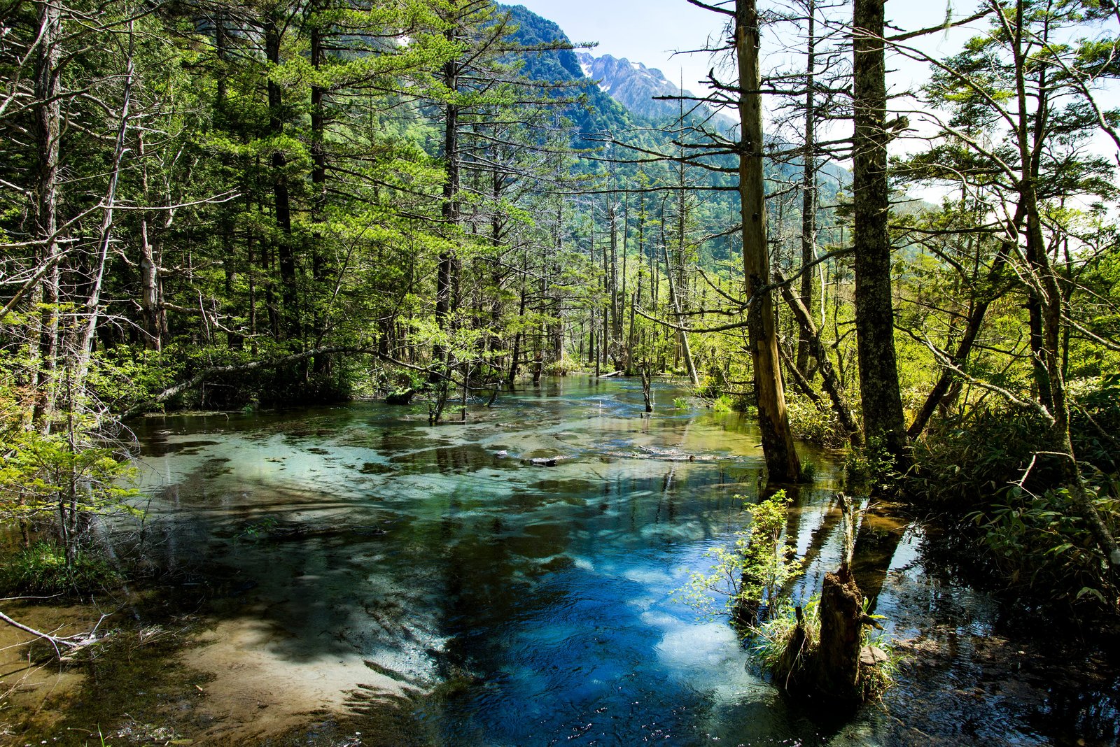 A brilliant blue-green spring-fed pool among tree stumps near Dakesawa Marsh, with a mountain peak beyond